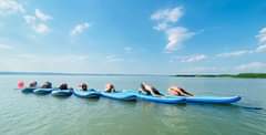≈≈≈ SUP SURF YOGA ≈≈≈
 am Donnerstag 27.8 um 16:00 

 Wenn D...