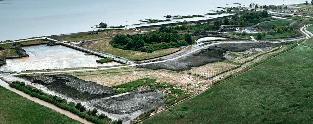 Der Neusiedler See ist in Gefahr